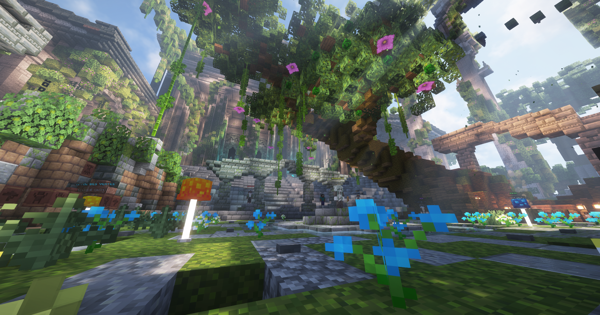 Des fondations solides, une ascension en cours.